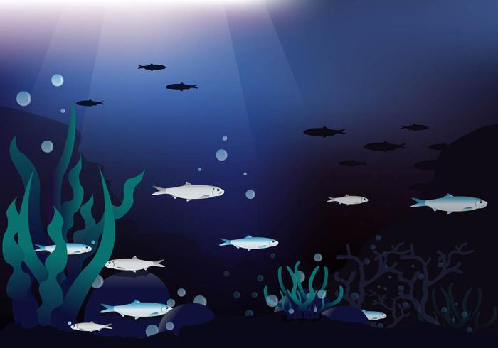 Antecedentes profunda sardinas Mar del vector
