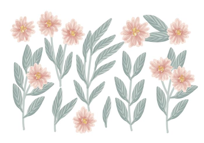 Vector Hand Drawn Floral Compositions
