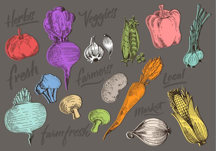 Color Vegetables Doodles vector
