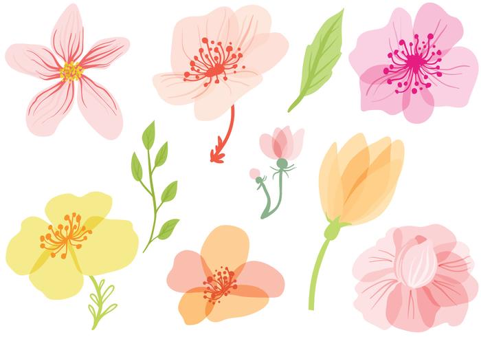 Spring Flowers Vectors