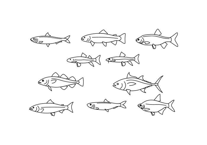 Free Fish Line Illustration Vector