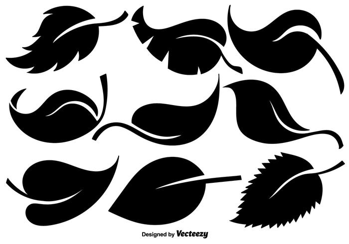 Vector Collection Of Flat Leaves Icons