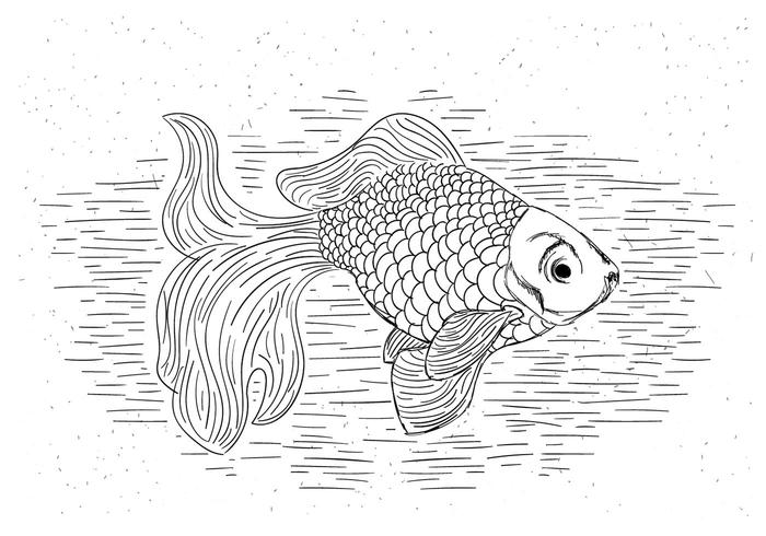 Ilustración libre de la mano del vector dibujado Goldfish