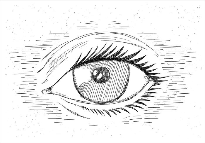 Hand Drawn Vector Eye