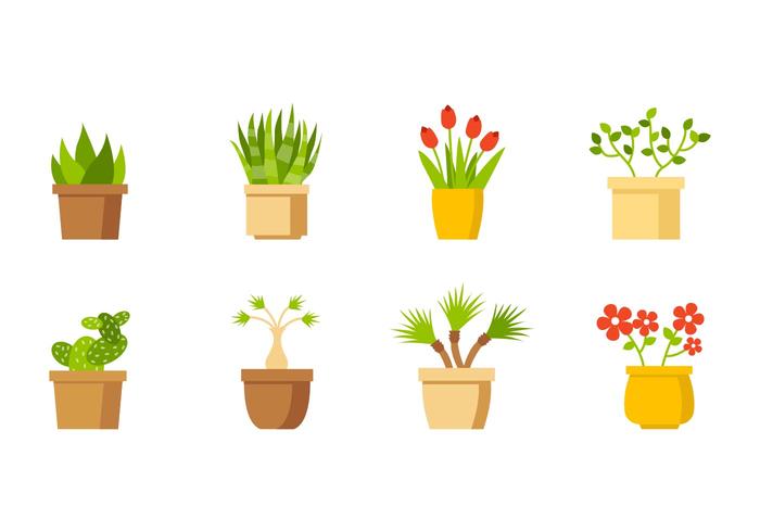House Plant Collection Vector