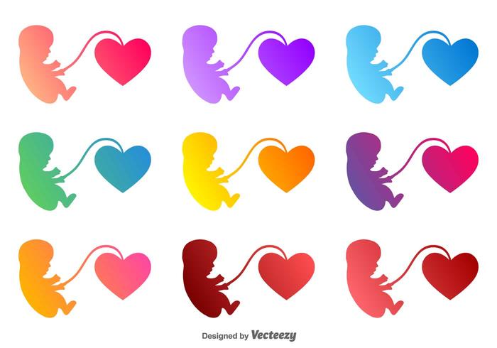 Vector Fetus With A Heart Icon