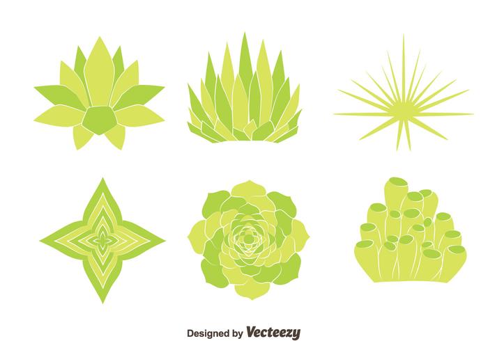 Green House Plant Vectors Green House Plant Vectors