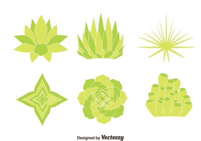 Green House Plant Vectors