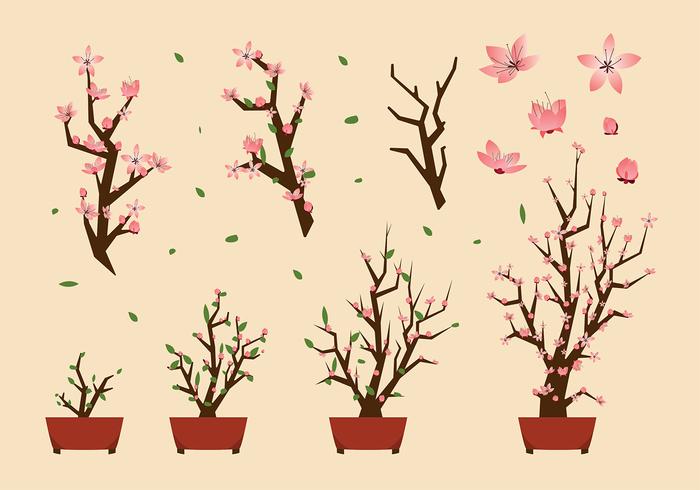 Peach Blossom Free Vector