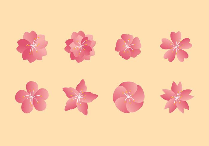 Flor de Durazno Set Free Vector