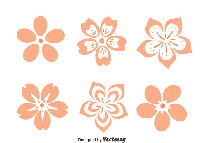 Peach Blossom Flowers Vector