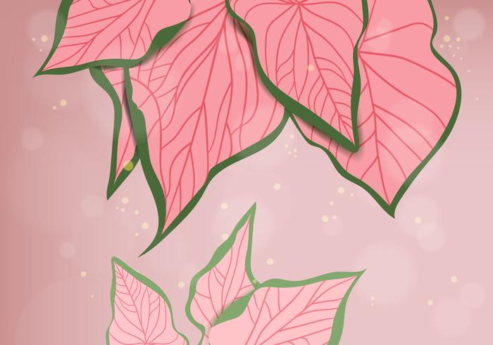 Pink Leaves Background vector