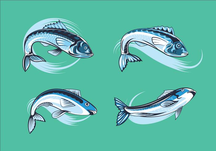 Set Fresh Sardines vector