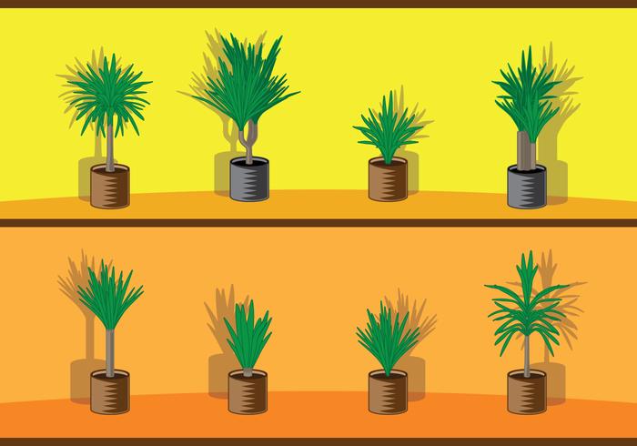 Yucca Tree In Flowerpot vector