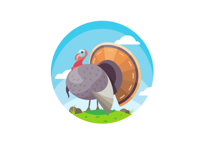 Amazing Wild Turkey Scene Vector