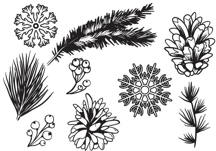 Free Winter Forest Vectors