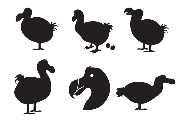 Dodo Silhouette Vector