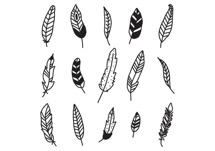 Set Of Feathers vector