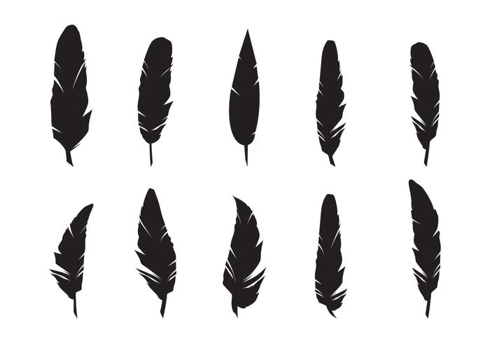 Download Feathers Silhouette Vector Set - Download Free Vectors ...