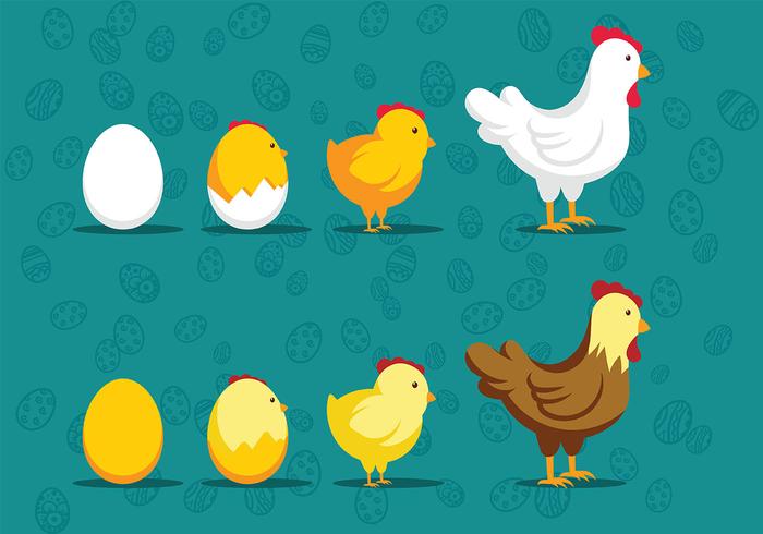 Easter Chick Icon Vectors