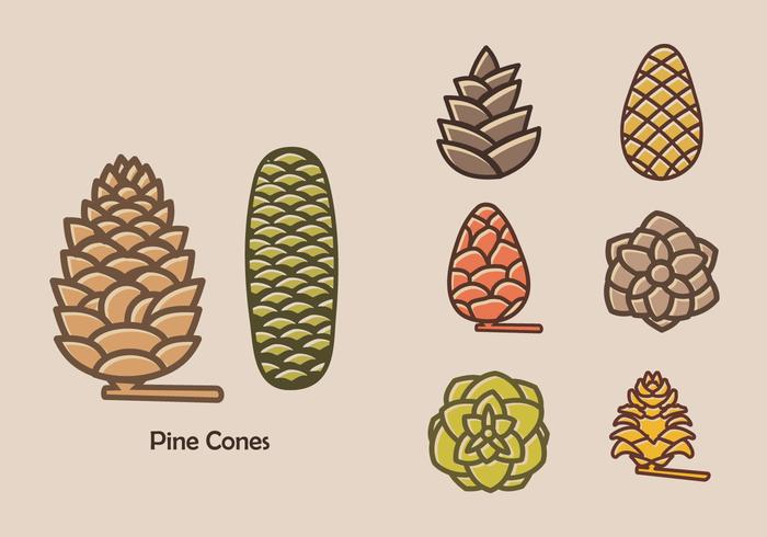 Colorful Pine Cones Vector Icon