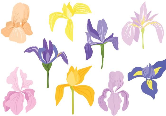 Free Pastel Irises Vectors