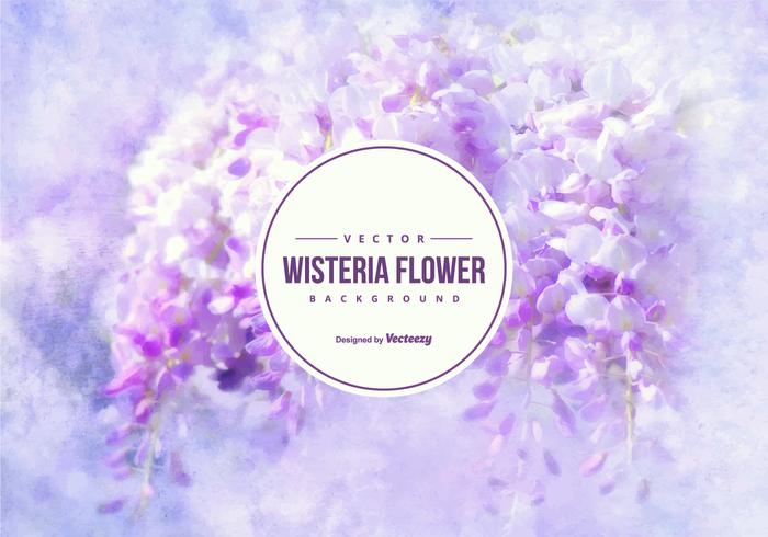 Beautiful Wisteria Flower Background Beautiful Wisteria Flower Background