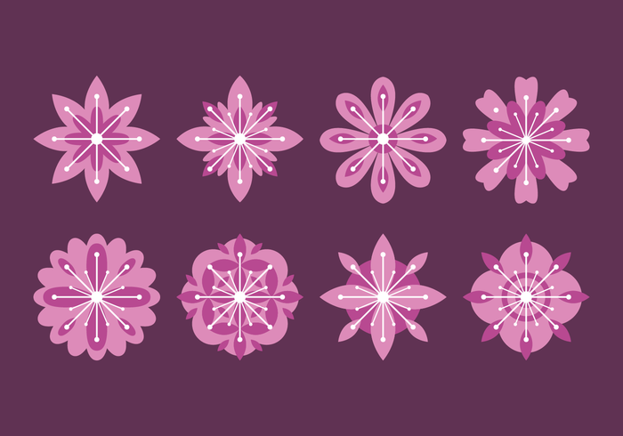 Flower Blossom Vector