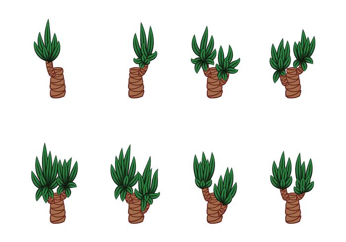 Yucca Vectors