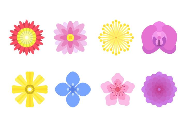 Flat Flower Vectors