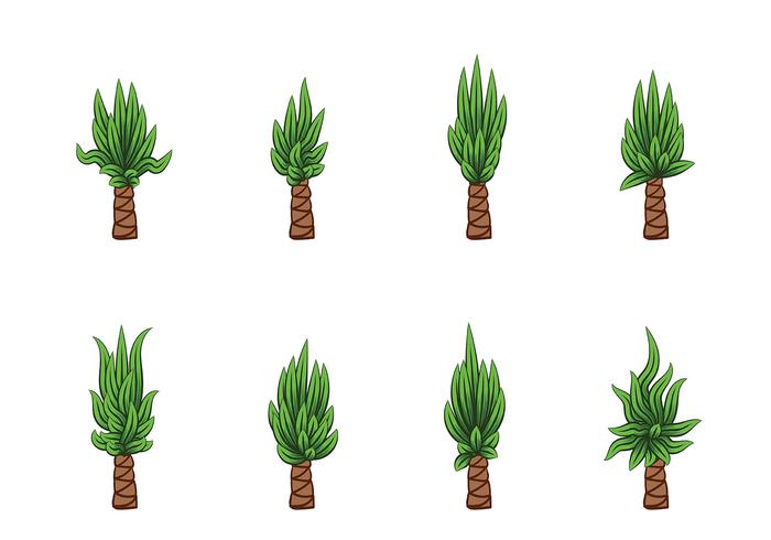 Yucca Vector Yucca Vector