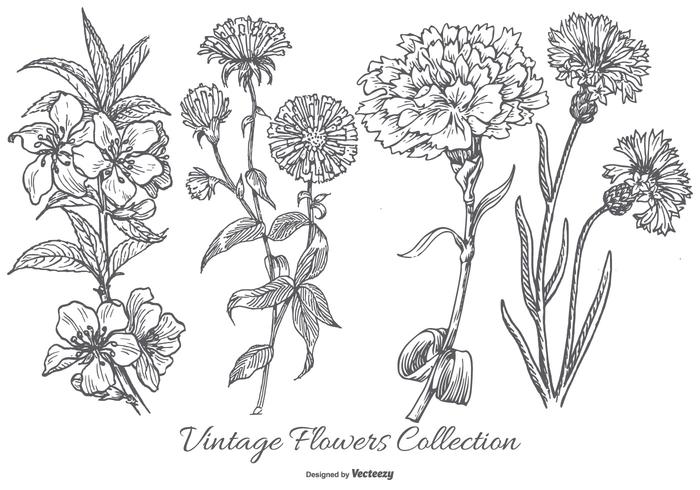 Vintage Flower Collection Vintage Flower Collection