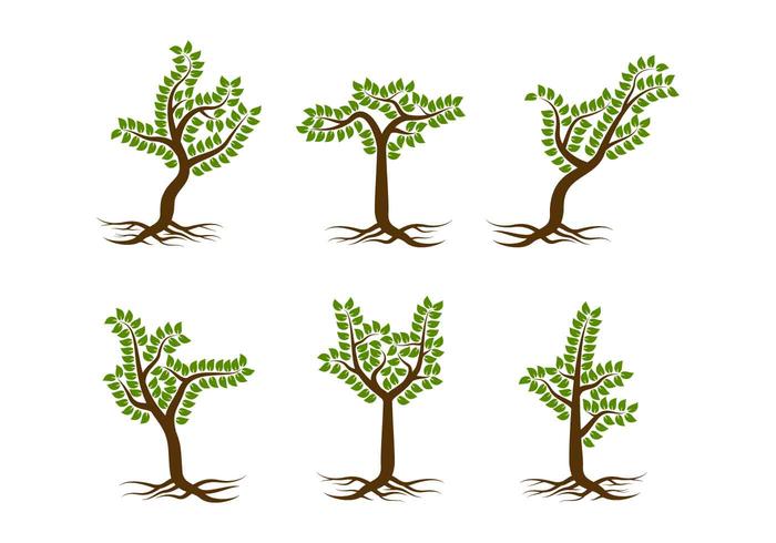 Free Unique Tree with Roots Vectors