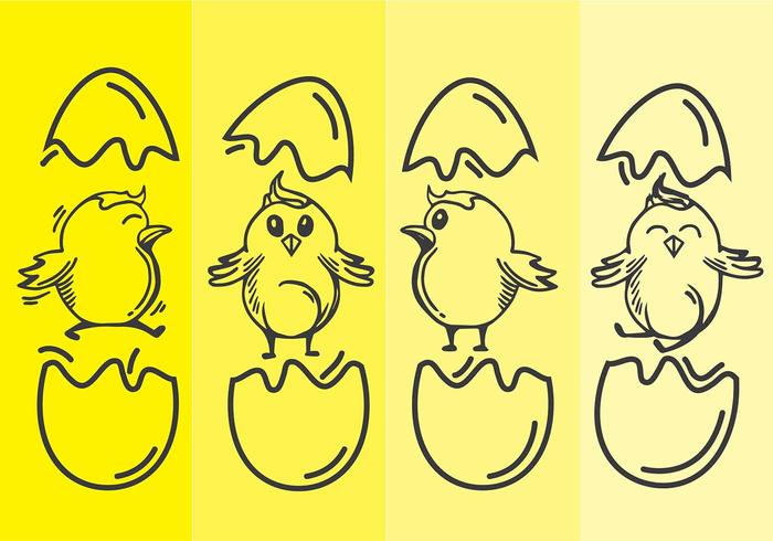 Easter Chick Line Art Vector 