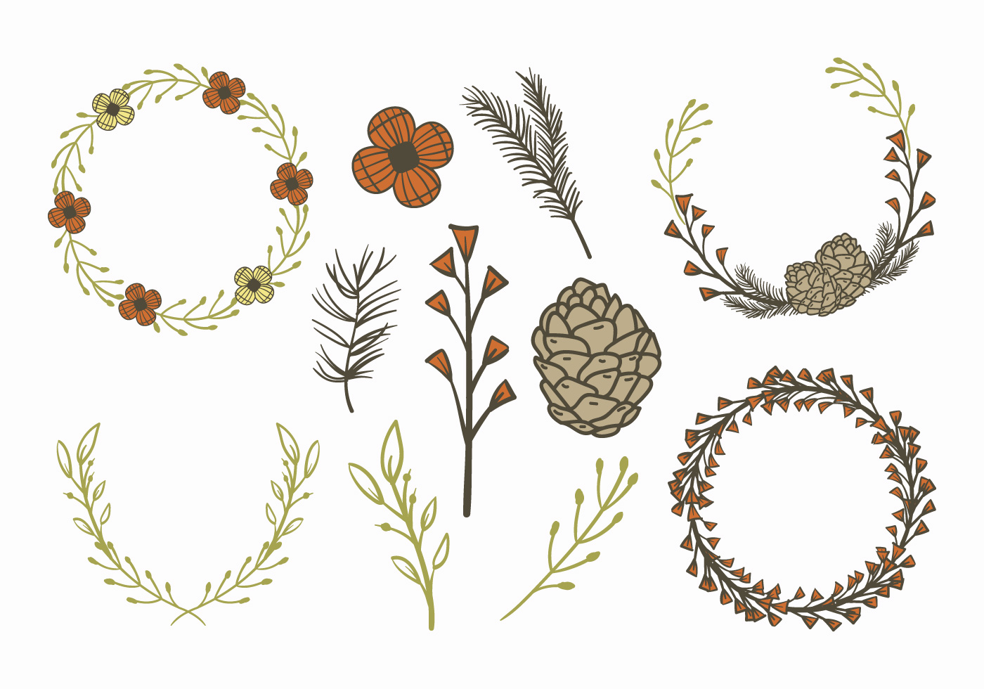 Download Floral Pine Cone Elements Vectors - Download Free Vectors ...