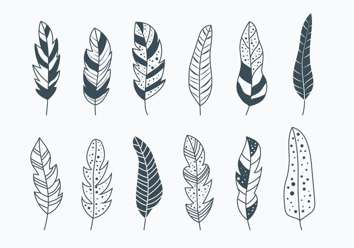 Pluma Collection vector