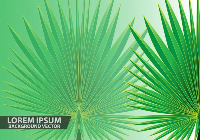 Palm Leaves Background Vector 