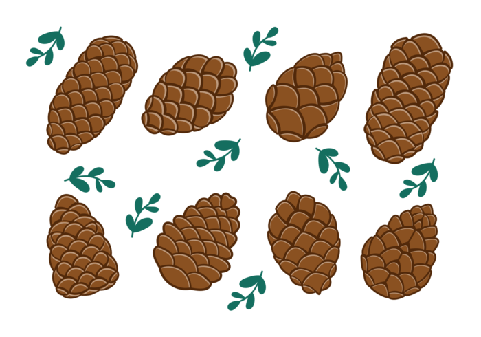Pine Cones Icons Vector