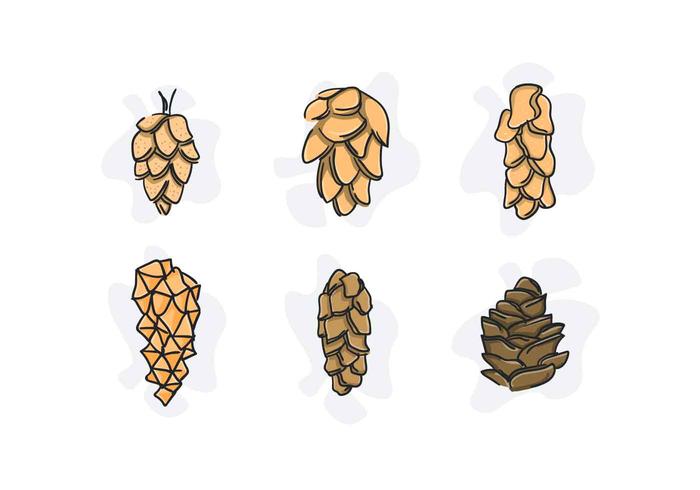Free Unique Pine Cones Vectors