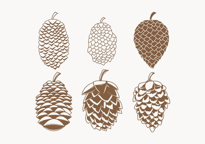 Pine Cones Vector Collection