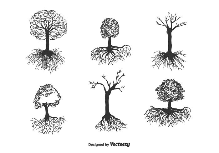 Árbol con las raíces del vector