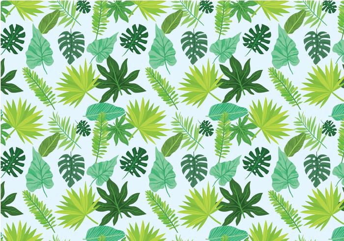 Free Exotic Leaves Pattern Vectors