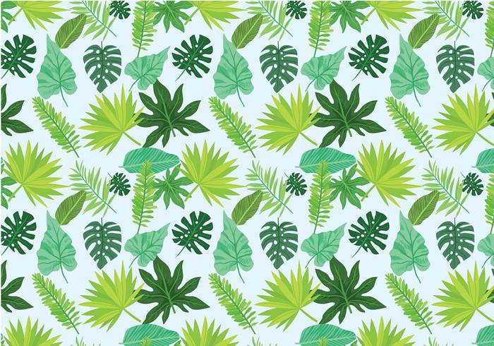 Free Exotic Leaves Pattern Vectors