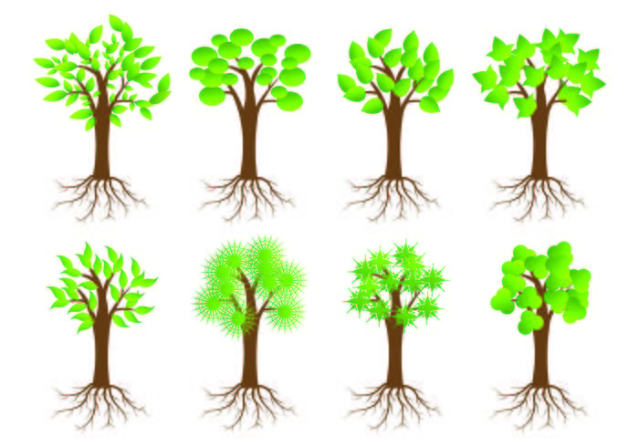 Icon Of Tree With Roots vector