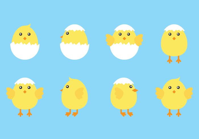 Cute Easter Chicks vector