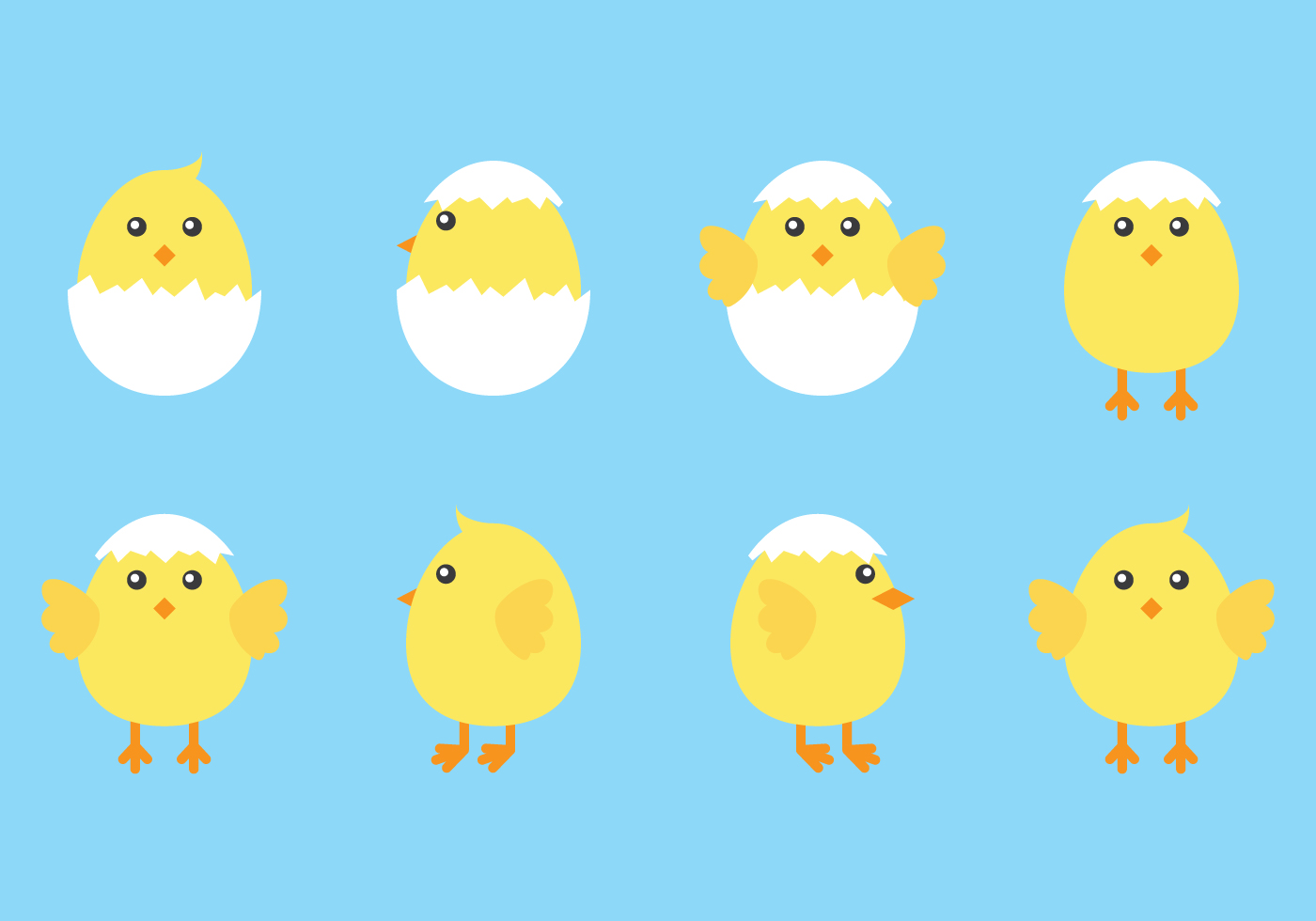 Cute Chick Vector Art, Icons, and Graphics for Free Download