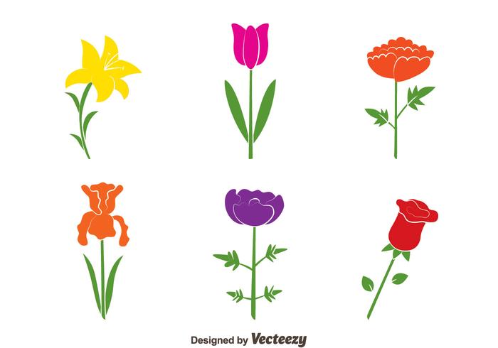 Colorful Flowers Collection Vectors Colorful Flowers Collection Vectors