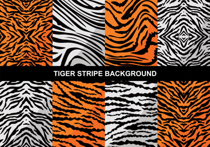 Tiger Stripe Background vector