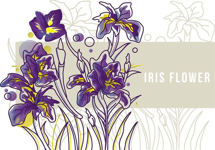 Free Free 168 Iris Flower Svg SVG PNG EPS DXF File