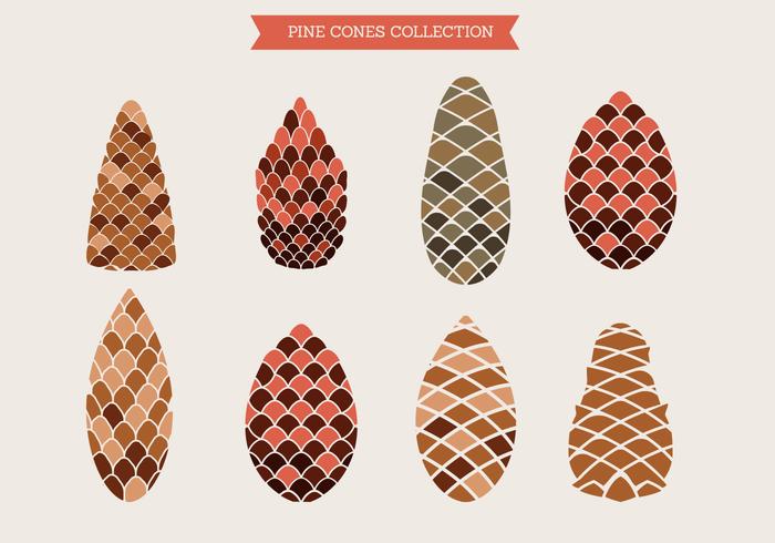 Pine Cones of Cedar Spruce Fir Christmas Tree Pine Set vector